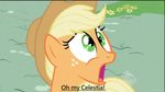  applejack_(mlp) english_text equine female friendship_is_magic hair horse my_little_pony pony reaction_images 