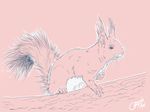  ambiguous_gender chest_tuft claws cute ear_tuft ear_tufts feral fur mammal oonami pose rodent simple_background sitting sketch solo squirrel tree tuft whiskers wood 