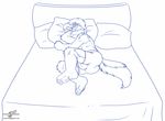  bulge canine jesse male mammal pillow sleeping solo underwear wolfblade 