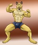  abstract_background abstract_bakground anthro beard biceps big_muscles blue_eyes boxers brown_fur buck_(exawolf) bulge canine dog ear_piercing exawolf facial_hair flexing fur looking_at_viewer male mammal muscles nipples pecs piercing pose smile solo topless trunks trunks_(clothing) underwear white_fur yellow_fur 