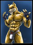  anthro balls biceps blue_eyes brown_fur bulge canine clothed clothing come_at_me_bro flaccid fur gloves grin hair half-dressed jock jockstrap looking_at_viewer louiefurrywolfy male mammal muscles pecs penis pose smile solo standing topless underwear wolf 