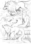  canine cloth fur karasu-dou_(pixiv) mammal terry terry_cloth toriko wolf 