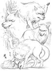  canine cloth eating fur mammal terry terry_cloth toriko wolf 