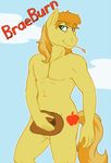  anthrofied anuvia balls braeburn_(mlp) english_text equine friendship_is_magic hat horse male mammal my_little_pony nude pony solo teasing text 