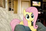  cute equine female fluttershy_(mlp) friendship_is_magic horse my_little_pony pegasus pony room smile sofa wings 