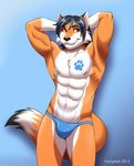  abs alty anthro armpits arms_behind_head biceps big_muscles black_hair black_nose blue_background blue_markings bulge butt_heart canine chest fox front front_view fur furrybob gradient_background hair looking_at_viewer male mammal markings multicolor_fur muscles nipples orange_eyes orange_fur paw_tattoo pawprint pecs pink_nipples plain_background smile socks_(marking) solo speedo standing swimsuit teasing topless two_tone_fur underwear white_fur 