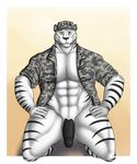  abs air_force anthro balls biceps big_muscles big_penis black_fur black_markings black_nose black_penis body_markings bottomless brown_eyes clothed clothing erection feline front frontal_view fur general half-dressed hat humanoid_penis kneeling looking_at_viewer male mammal markings military muscles nude open_shirt pecs penis pose presenting retracted_foreskin shirt solo stripes thick_penis tiger uncut vamplust vein white_fur white_tiger 