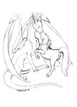  black_and_white dragon equine female feral feral_on_feral hooves horn horse kissing male mammal monochrome penis pussy scalie sketch toradoshi wings 