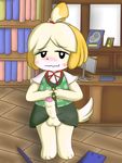  animal_crossing balls blush canine clothing crossgender dog isabelle_(animal_crossing) looking_at_viewer male mammal nintendo penis shizue_(animal_crossing) solo uncut unknown_artist video_games 