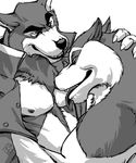  biceps canine coat crossover disney dog don_karnage gay hairy husky kougatalbain licking male mammal muscles pecs rrowdybeast steele talespin tongue wolf 