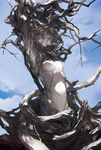  bare_tree branch breasts commentary_request noir_(ibaraki) original plant_girl plant_hair sky small_breasts solo tree white_skin 