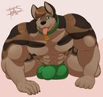  anthro balls biceps big_balls big_muscles big_penis black_fur blue_eyes brown_fur brown_hair bulge canine clothed clothing collar dog freckles_(artist) fur hair haku_(maneater) half-dressed kneeling male mammal muscles nipples open_mouth pecs penis pose solo speedo spread_legs spreading swimsuit tongue topless underwear voluptuous wide_hips 