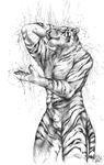 animal_genitalia anthro balls bathing black_and_white blotch eyes_closed feline flaccid hand_behind_head male mammal monochrome nude pawpads penis plain_background sheath showering sketch solo standing stripes tiger water waterfall whiskers white_background 