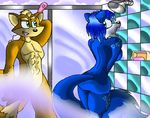  canine censorship convenient_censorship deviantart digital_media_(art) female fluffy_tail fox fox_mccloud krystal male mammal nintendo nude shower star_fox steam surprise video_games virus-20 