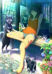  animal arm_support bare_shoulders black_hair blue_eyes bottle bug butterfly crossed_legs dog drink flower haitaka insect light_smile looking_at_viewer morning_glory original plant potted_plant puppy revision sandals shade shiba_inu short_hair short_shorts shorts sitting solo sunlight veranda wind_chime 