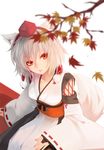  animal_ears bad_id bad_pixiv_id bridal_gauntlets hat highres inubashiri_momiji japanese_clothes kourindou_tengu_costume leaf looking_at_viewer maple_leaf red_eyes revision settyaro short_hair sitting solo tail tokin_hat touhou tree_branch white_hair wolf_ears wolf_tail 