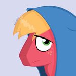  blonde_hair cloak draft_horse equine freckles friendship_is_magic green_eyes hair horse looking_at_viewer male mammal my_little_pony noponyzone pony red_body simple_background solo 