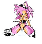  amy_rose anus breasts butt cum cum_in_pussy cum_inside disembodied_penis female green_eyes hedgehog male nipples nokcix penis pussy sega sonic_(series) 