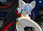  anal anal_penetration anus balls breasts butt doggystyle erection female from_behind green_eyes greenhand interspecies male nipples nude one_eye_closed open_mouth penetration penis pussy rouge_the_bat sega sex shadow_the_hedgehog sonic_(series) standing straight 