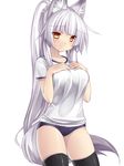  animal_ears black_legwear breast_suppress breasts buruma fox_ears fox_tail gym_uniform large_breasts long_hair original ponytail shiroan_(tsukumiya_amane) silver_hair simple_background skindentation solo tail thighhighs thighs tsukumiya_amane very_long_hair white_background yellow_eyes 