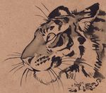  ambiguous_gender feline mammal monochrome sketch solo tess_garman tiger whiskers 