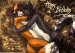  blush canine embracing field fox furryratchet gay happy_birthday hybrid kissing love male mammal nanabi_ashiro nanabi_kitsune skunk skwolf wolf 