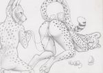 anthro anus ass_up bdsm breasts cadmiumtea cheetah clamp decolordomina duo electricity electrostimulation feline female lesbian mammal nude pussy restrained sex_toy sketch vaginal 