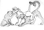  cheetoto chris_mckinley disney feline feral gay lion male mammal sex the_lion_king 