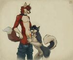  anthro aroused balls blue_eyes canine canine_penis clothing collar dog duo erection eye_contact foreplay fox fur gay grey_fur gryx husky interspecies jeans licking male mammal orange_fur pants pants_down penis penis_tip plain_background red_rocket sheath standing teasing tongue white_background 