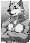  aluminemsiren anthro biceps black_nose brown_eyes canine chest_tuft fur grey_fur male mammal muscles pecs portrait smile solo teeth tuft white_fur wolf 