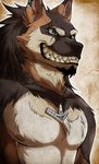  aluminemsiren anthro black_fur black_nose blue_eyes brown_fur canine clenched_teeth fur grin male mammal muscles necklace nipples pecs portrait scar solo teeth topless white_fur wolf 