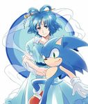  animal color_connection commentary_request crossover dress furry futoumeido gloves hair_color_connection hair_ornament hairpin kaku_seiga md5_mismatch pun shawl short_hair simple_background smile smirk sonic sonic_the_hedgehog touhou 
