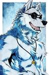  aluminemsiren anthro biceps black_nose border canine chest_tuft eyewear frost fur goggles googles male mammal muscles necklace nipples open_mouth pecs portrait solo sunglasses teeth tongue tuft white_fur wolf 