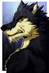  aluminemsiren angry anthro back black_fur black_nose canine clenched_teeth fur looking_at_viewer male mammal portrait solo teeth vein white_fur wolf yellow_eyes 