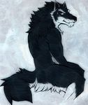  aluminemsiren back biceps black_fur black_nose blush canine fangs fur looking_at_viewer male mammal muscles nude orion orion_(aluminemsiren) solo white_fur wolf 
