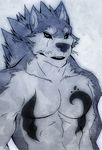  aluminemsiren anthro biceps black_nose blue_eyes canine fur grey_fur looking_at_viewer male mammal muscles pecs plain_background solo tattoo teeth white_background white_fur wolf 