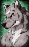  aluminemsiren anthro biceps black_nose canine chest_tuft fur green_eyes grey_fur grin male mammal muscles portrait pose solo teeth thundergrey tuft white_fur wolf 