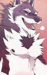  aluminemsiren anthro bcokami black_nose canine chest_tuft eyes_closed fur greyscale laugh male mammal monochrome muscles nipples orion orion_(aluminemsiren) pecs portrait red_eyes sketch solo teeth tuft wolf 