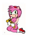  amy_rose hedgehog sega sonic_(series) sonic_the_hedgehog 