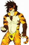  aluminemsiren biceps brown_fur brown_hair bulge chest_tuft claws clenched_fist feline fur grey_eyes hair looking_at_viewer male mammal muscles nipples orange_fur pecs plain_background smile solo speedo stripes swimsuit tiger topless tuft underwear white_background white_fur yellow_fur 