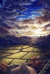  cloud field forest h_kasei highres mountain nature no_humans original road scenery sky sunset tree 