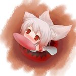  animal_ears bad_id bad_pixiv_id blush detached_sleeves frisbee from_above inubashiri_momiji looking_up mouth_hold nightmare_cat red_eyes solo tail tail_wagging touhou white_hair wolf_ears wolf_tail 