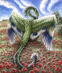  ambiguous_gender dragon feather feral field flower kirsch mane outside pose red_poppy sky traditional traditional_media wings 