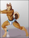  abs avoid_posting blue_eyes bottle brown_fur bulge canine dog fluffy_tail looking_at_viewer male muscles pose solo theramjing topless underwear white_fur 