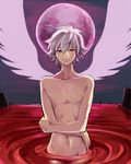  angel_wings bad_id bad_pixiv_id grey_hair kudou_akira looking_at_viewer male_focus nagisa_kaworu navel neon_genesis_evangelion nude red_eyes smile solo wading wings 