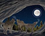  ambiguous_gender breath canine cave clear_sky cold dark den detailed_background ebon_lupus female feral forest full_moon group halo howl male mammal moon moon_burst night night_sky shadow signature stars three_wolf_moon tree wolf 