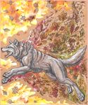  autumn canine collage feral kirsch leaves mammal teeth traditional traditional_media wolf 