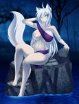  animal_ears anthro big_breasts blue_eyes breasts canine female forest fox fox_ears foxgirl fur hair jessica_elwood long_hair looking_at_viewer mammal navel night pose sitting solo tree voluptuous water white_fur white_hair wide_hips 