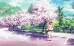  artist_request cherry_blossoms clannad cloud day furukawa_nagisa hikarizaka_private_high_school_uniform road school_uniform sky solo street tree walking 