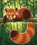 ambiguous_gender feral forest iveechan mammal outside red_eyes red_panda scenery solo tree 